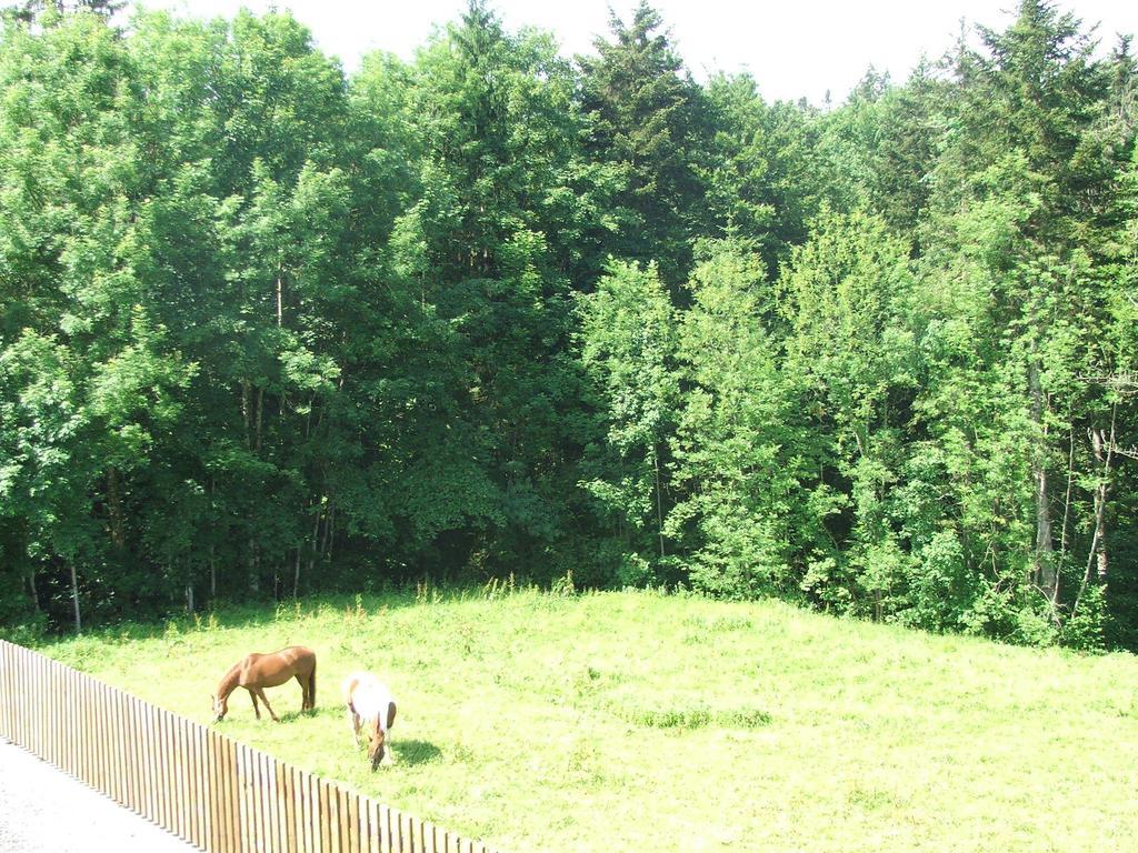 Pension Jägerheim Krumbach  Exteriör bild